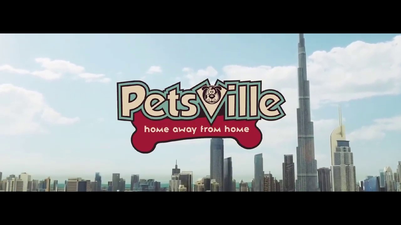 Welcome to PETSVILLE DUBAI | Luxury Dog Staycations | Active Daycare | Grooming