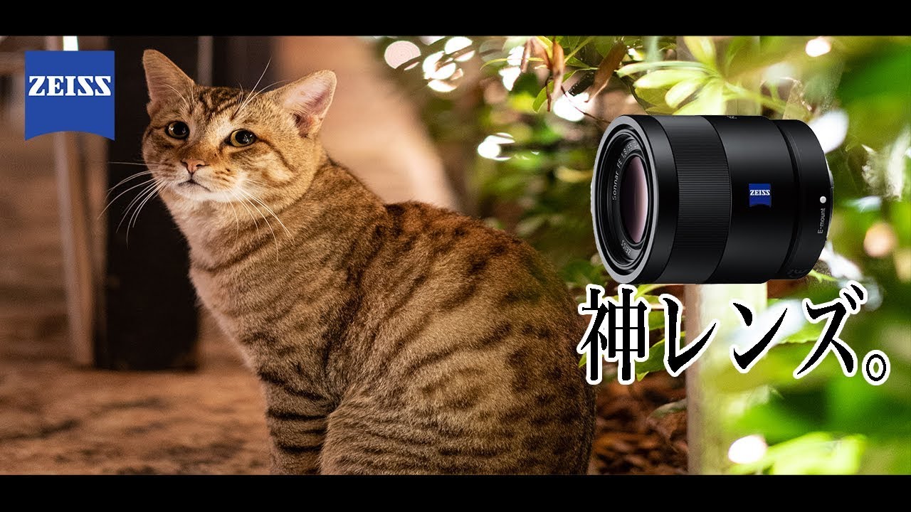 【神単焦点レンズ】Sonnar T* FE 55mm F1.8 ZA ＋ SONY α7IIIで撮るスナップ【実写レビュー！】