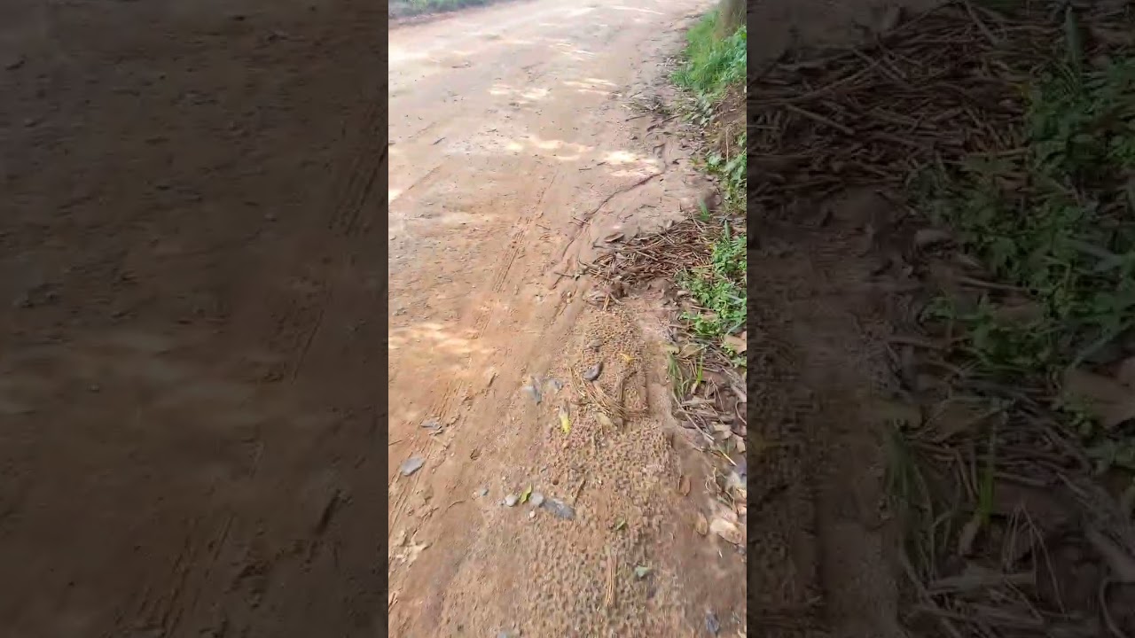 THE BEAUTY OF NATURE