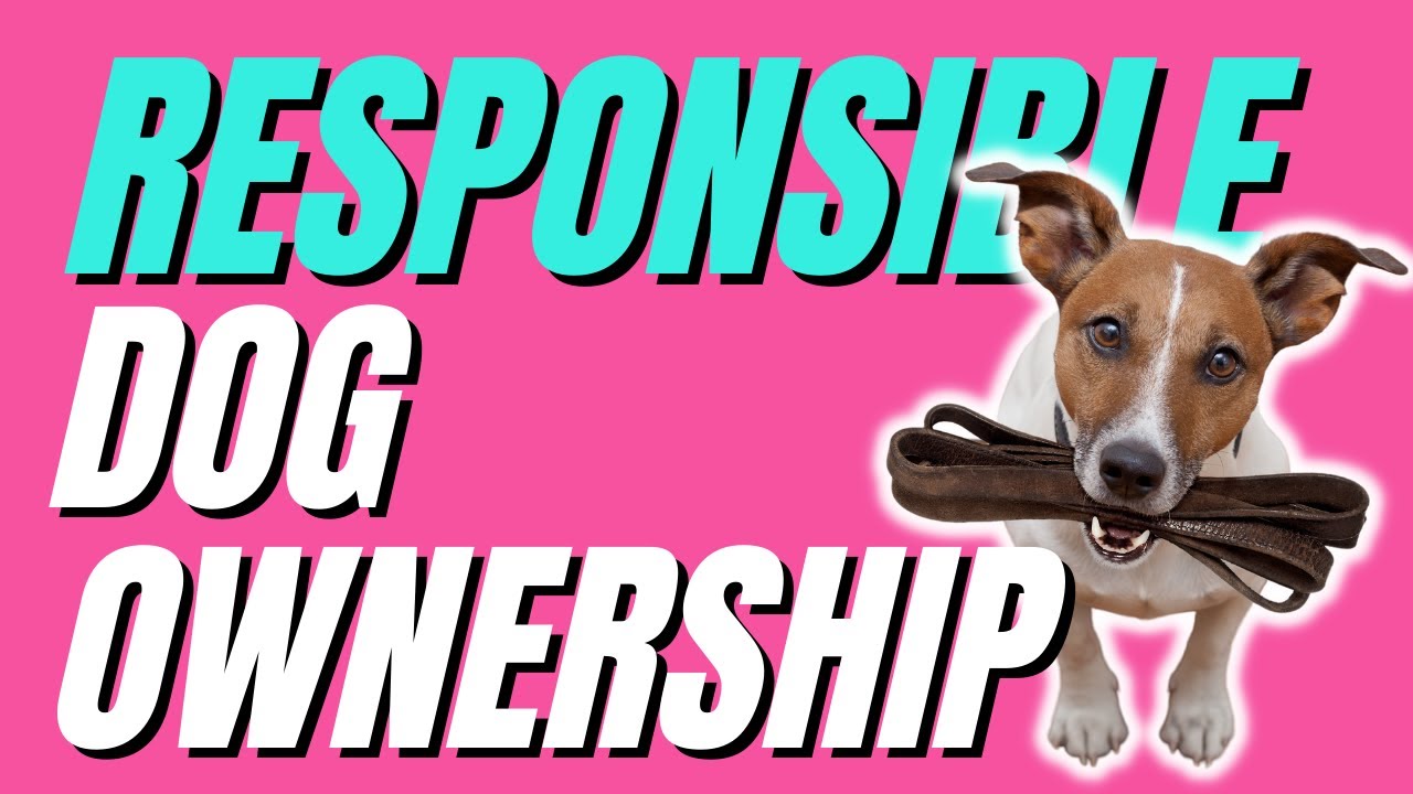 12 ways to be a Responsible Dog Owner | RESPONSIBLE DOG OWNERSHIP MONTH 2024