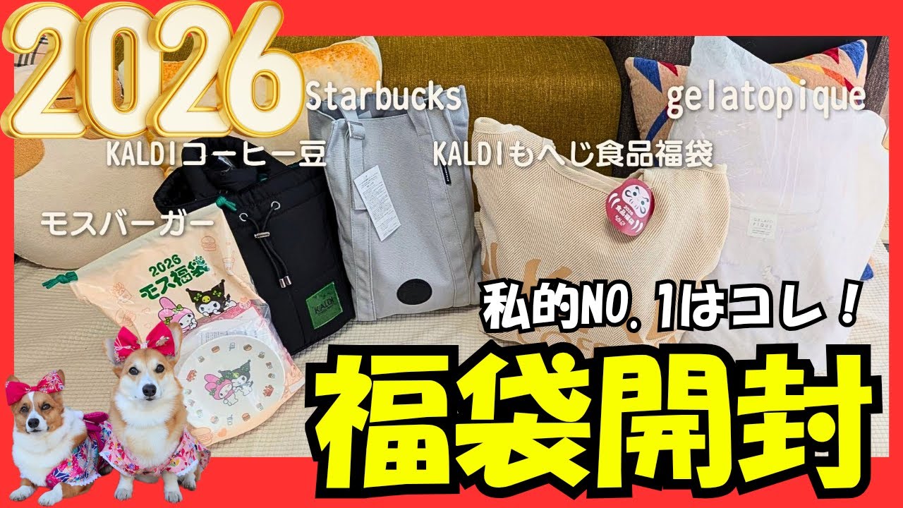 【2026年福袋】コーギーと開封の儀で今年のNO,1「神福袋」を大公開！