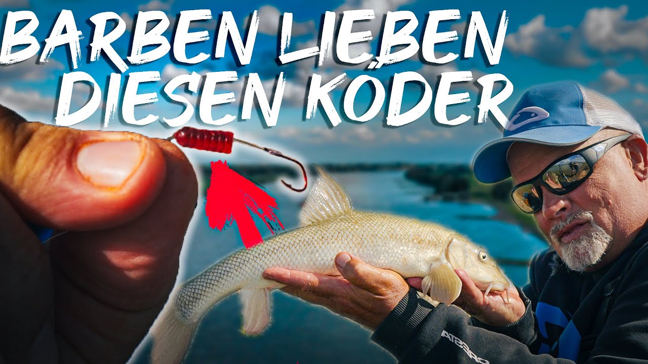 Damit klappts immer! @Fang-se holt den ERFOLGSKÖDER AM RHEIN raus 🤩