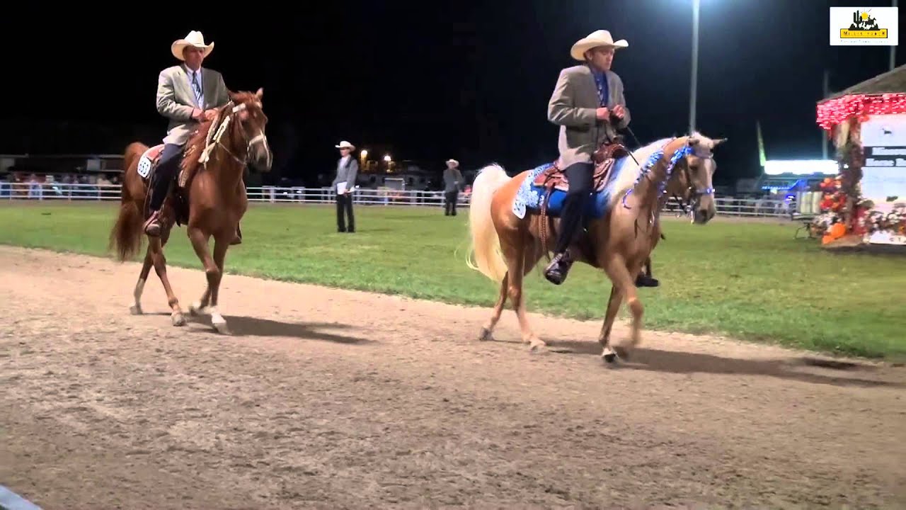 Missouri Fox Trotter World Grand Championship 3yr.Open 2015
