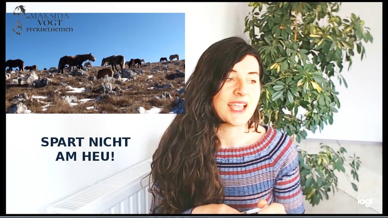 Spart nicht am Heu! Was ist gutes Heu?