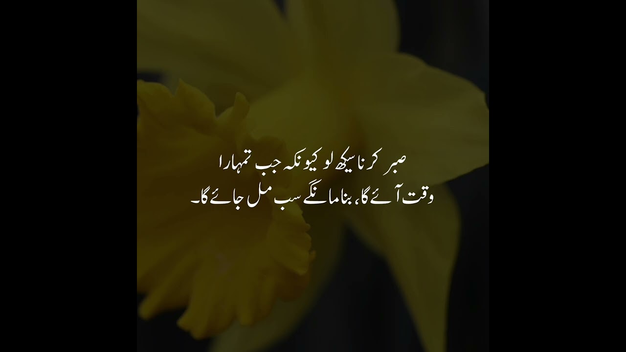 Best Urdu Quotes | Urdu Islamic Quotes | Best Quotes About Life | Motivational Quotes
