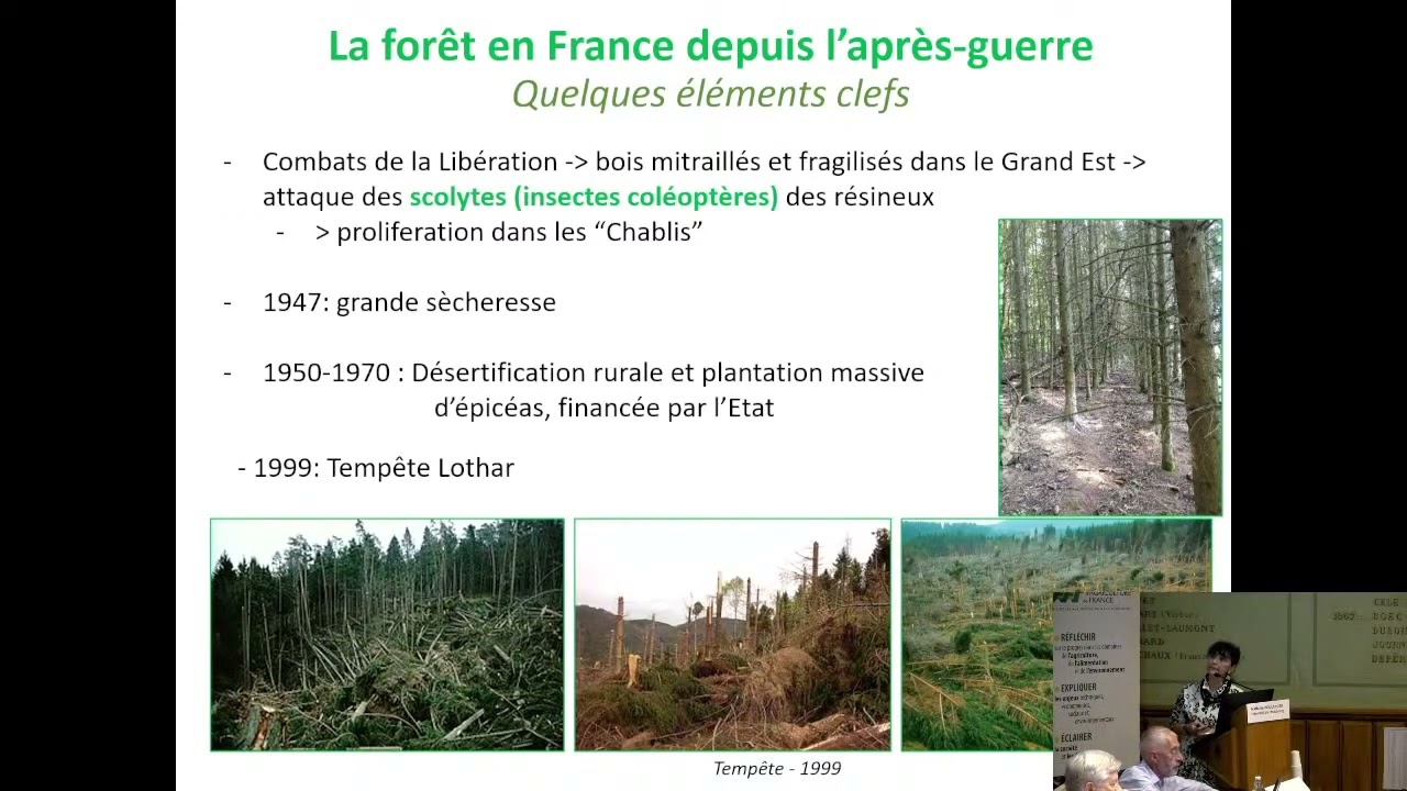L'ANTHROPISATION ET LES MALADIES A TIQUES : L'EXEMPLE DE LA BORRELIOSE DE LYME - Nathalie BOULANGER,
