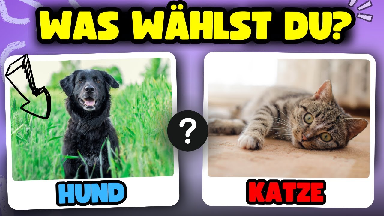 ENTWEDER ODER Quiz 🐶🐱🧠 Allgemeinwissen Quiz 2026