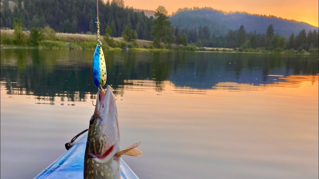 Montana Pike Fishing Blanchard Lake