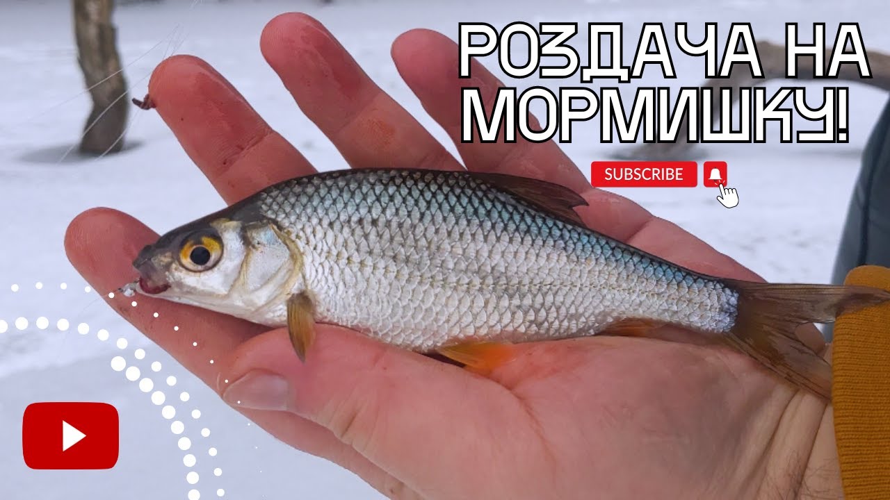 Зимова роздача на мормишку! Неймовірний кльов окуня та плітки