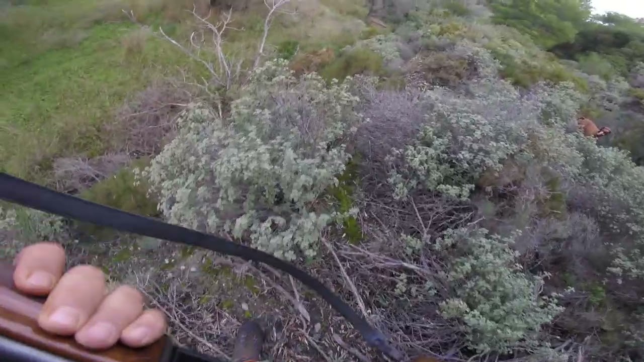 ΡΟΔΟΣ ΒΙΖΛΑ, ΜΙΑ ΌΜΟΡΦΗ ΦΆΣΗ 