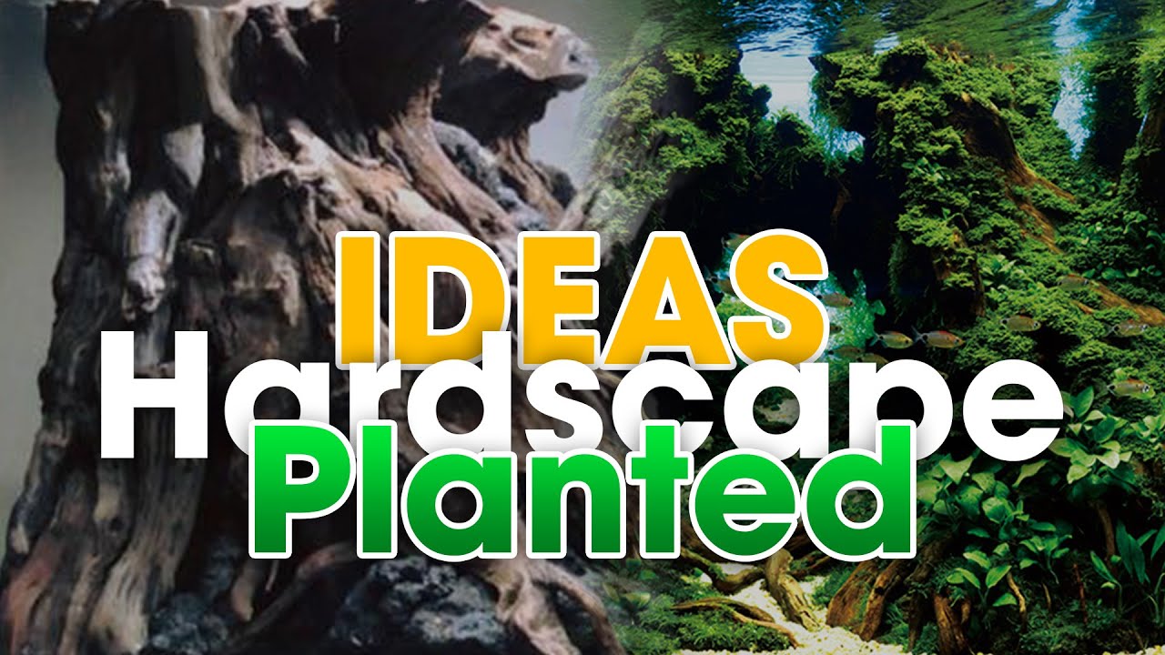 #1 IDEAS - Aquarium Hardscape and Planted Tank