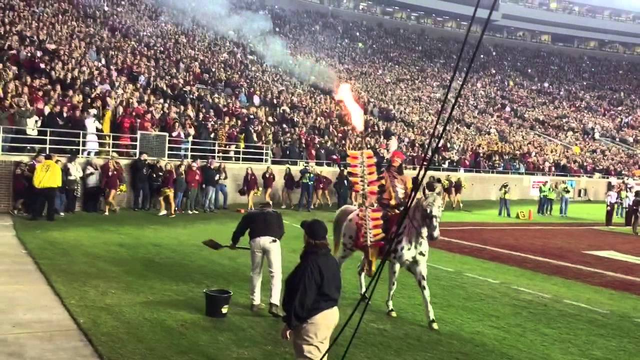 2014 FSU Homecoming Pregame: Osceola and Renegade