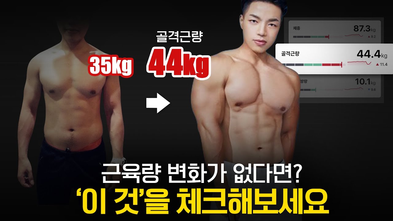 근육량 키우는 절대적인 법칙, 탄단지 섭취방법 모르면 운동 소용없습니다!