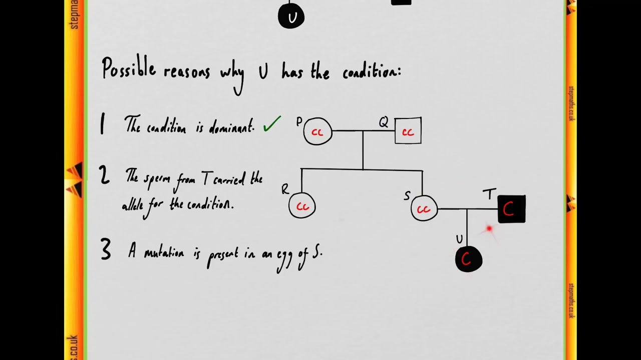 BMAT 2011 Section 2 - Q17 Bio - Inheritance diagram - Worked Solution