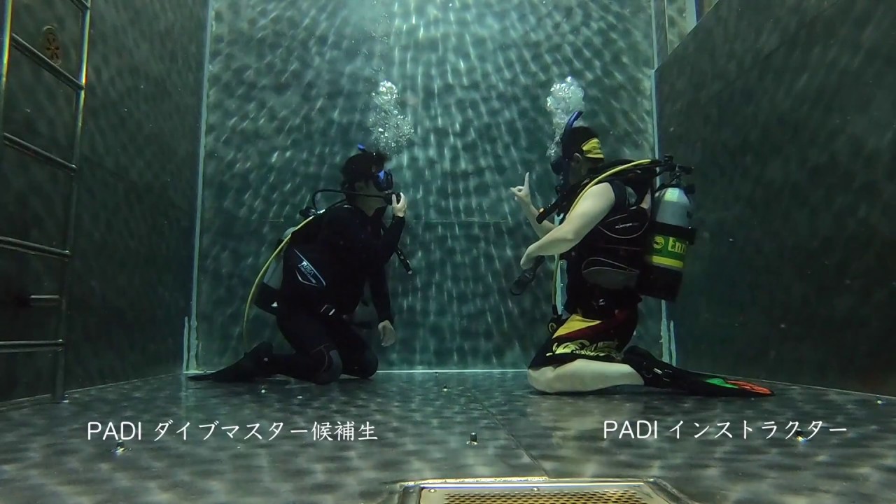 【PADIダイブマスター講習】水中器材交換 Dive Master Equipment Exchange