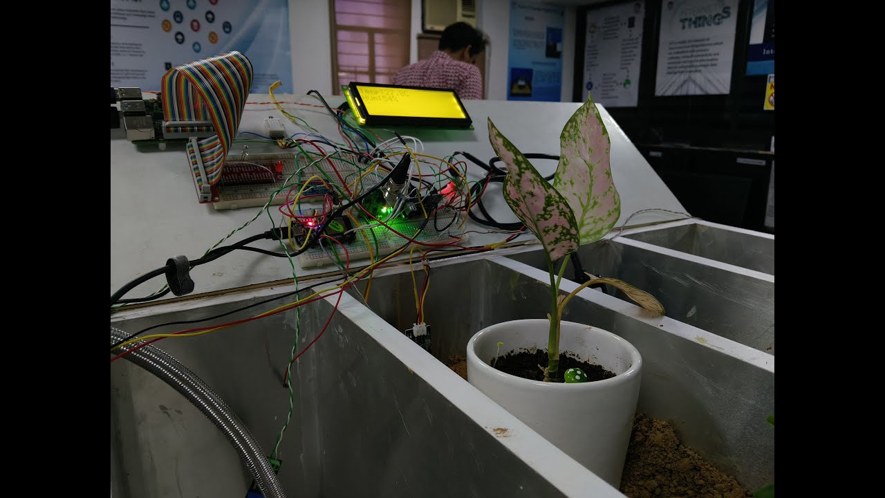 Smart Agriculture IoT System Involving Sensor-Based Monitoring and  Image Processing