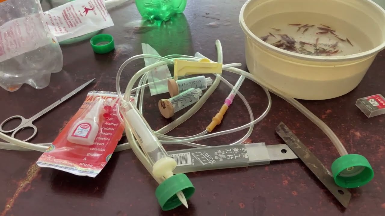 How to Make a Long Lasting DIY CO2 System for Your Planted Aquarium #bangla  Need CO2? Build cheap