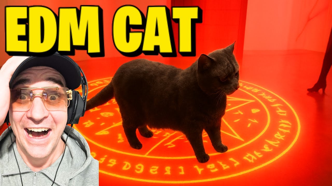 The Cat in Twisted Gallery!!!