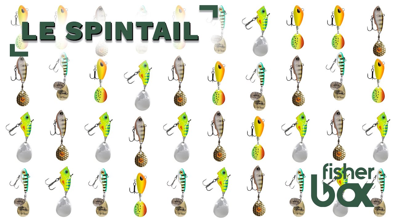 Wiki pêche - Tout SAVOIR sur le SPINTAIL