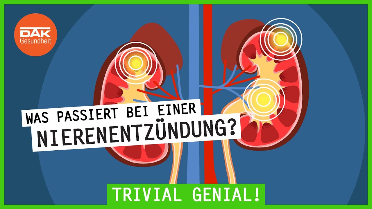 Was passiert bei einer Nierenentzündung? | 