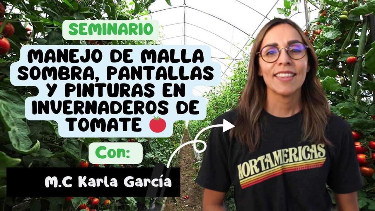 Manejo de malla sombra, pantallas y pinturas en invernaderos de tomate 🍅