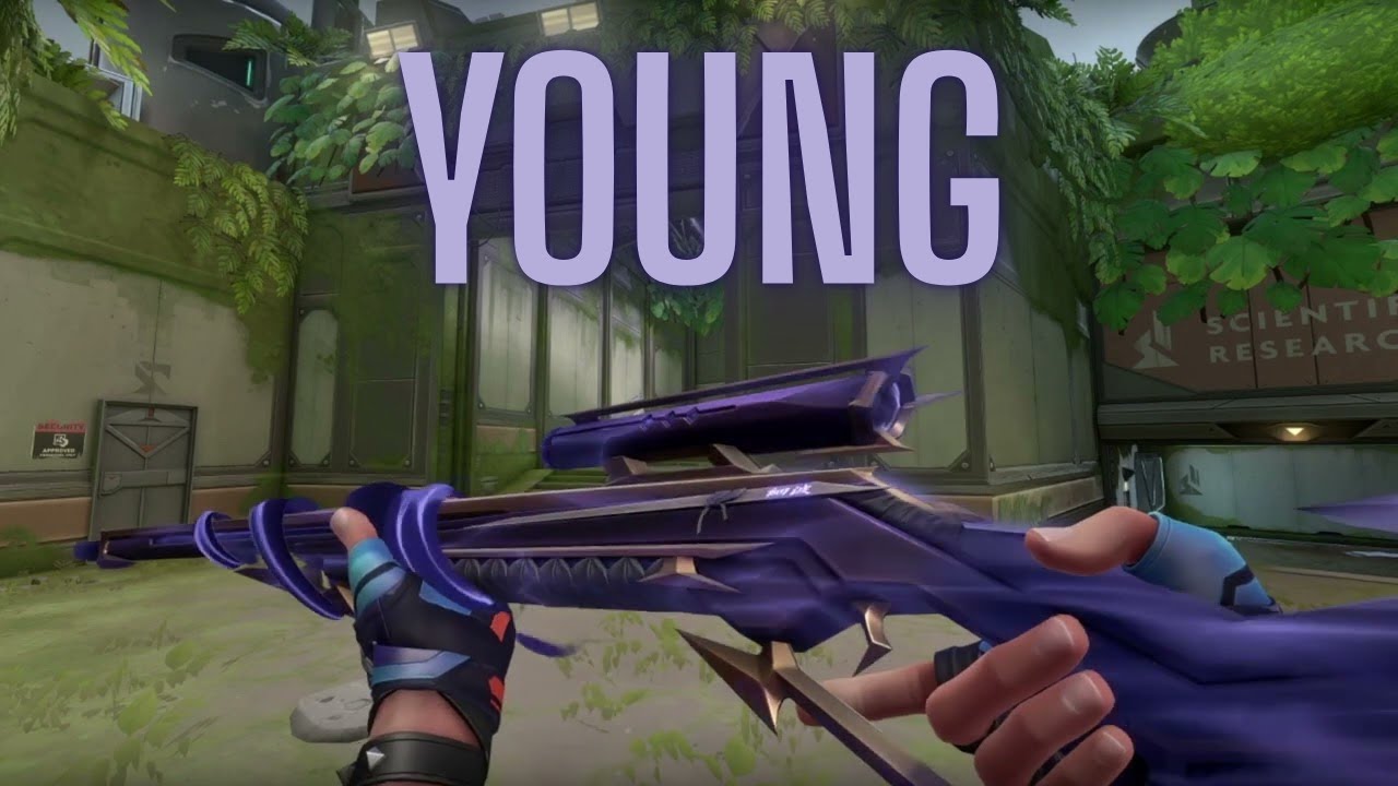 YOUNG