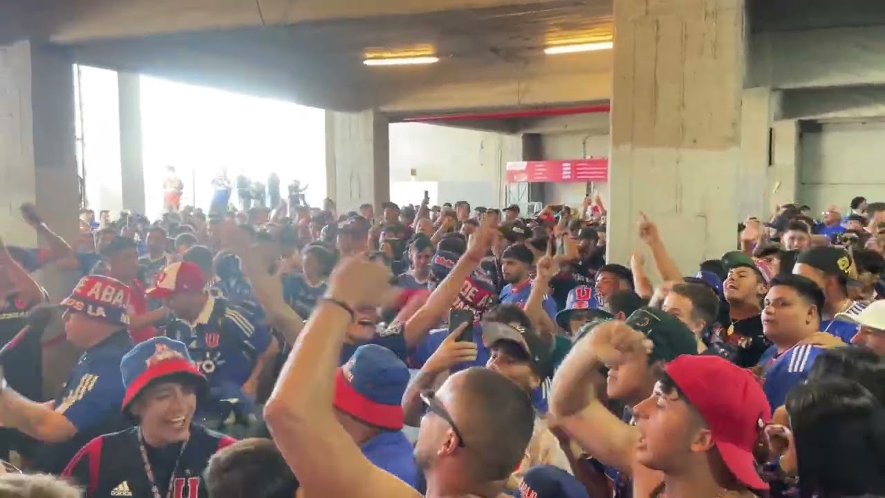 Me lo dijo una gitana- los de abajo- udechile vs cobresal fecha 1/24