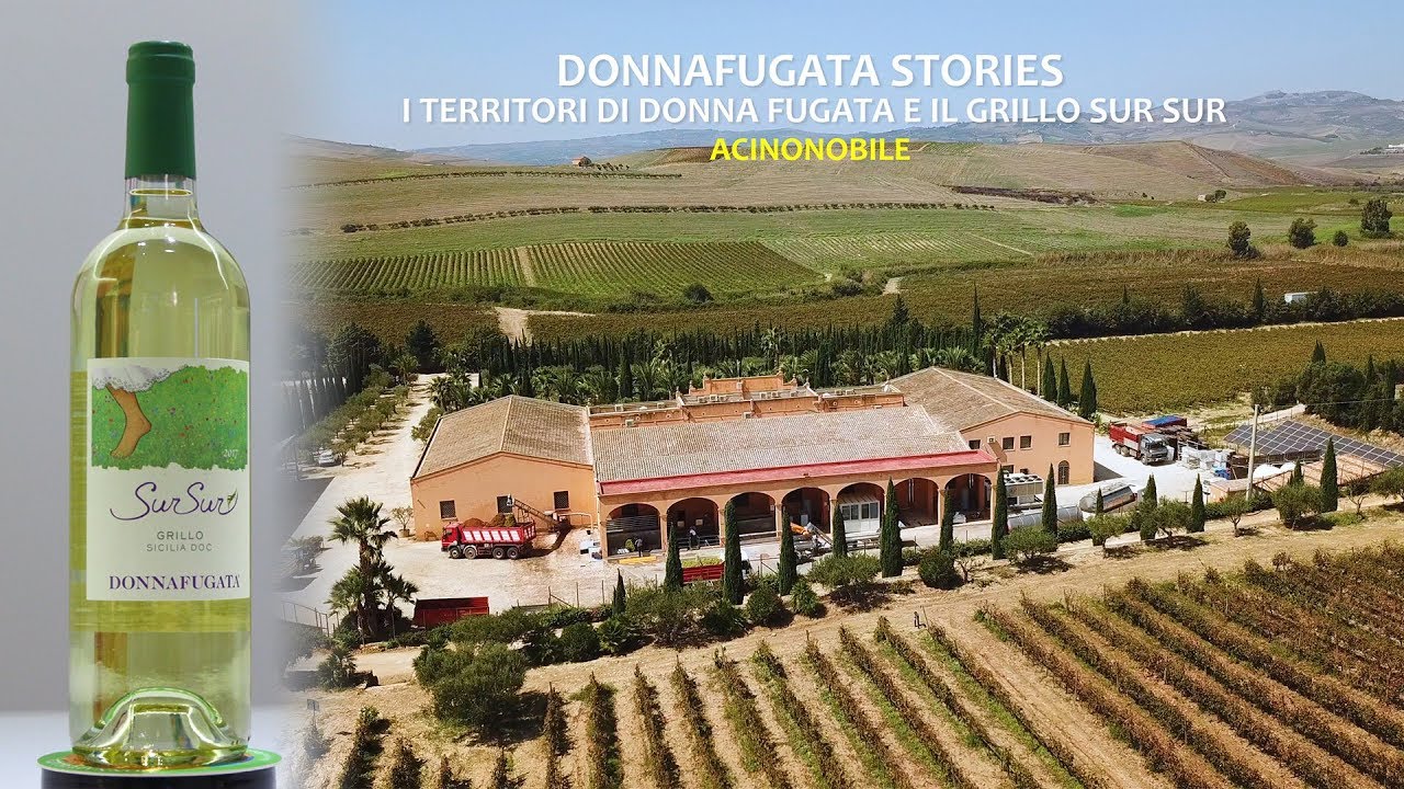 DonnaFugata | Territori e Grillo SurSur