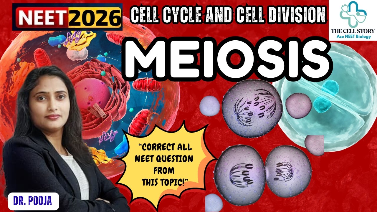 Why Meiosis is So Confusing? 🤯 आसान तरीके से सीखो |#meiosis #cellcycle #neet