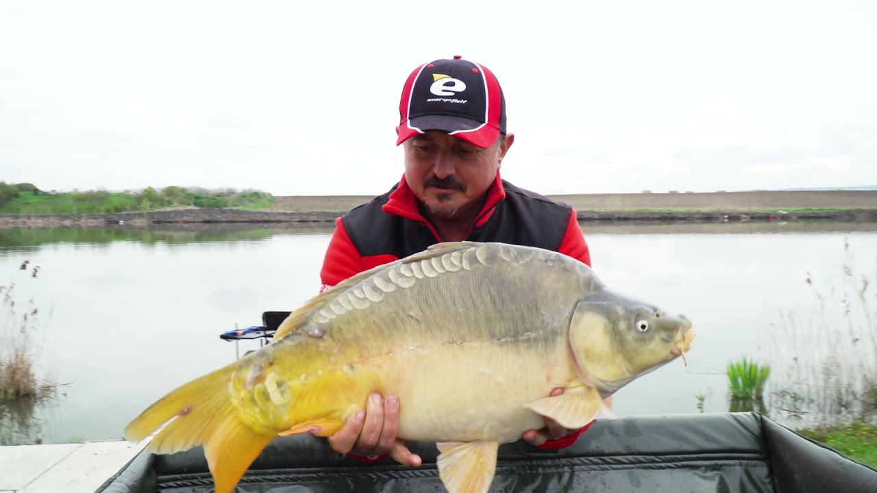 Cu methodul pe ape noi