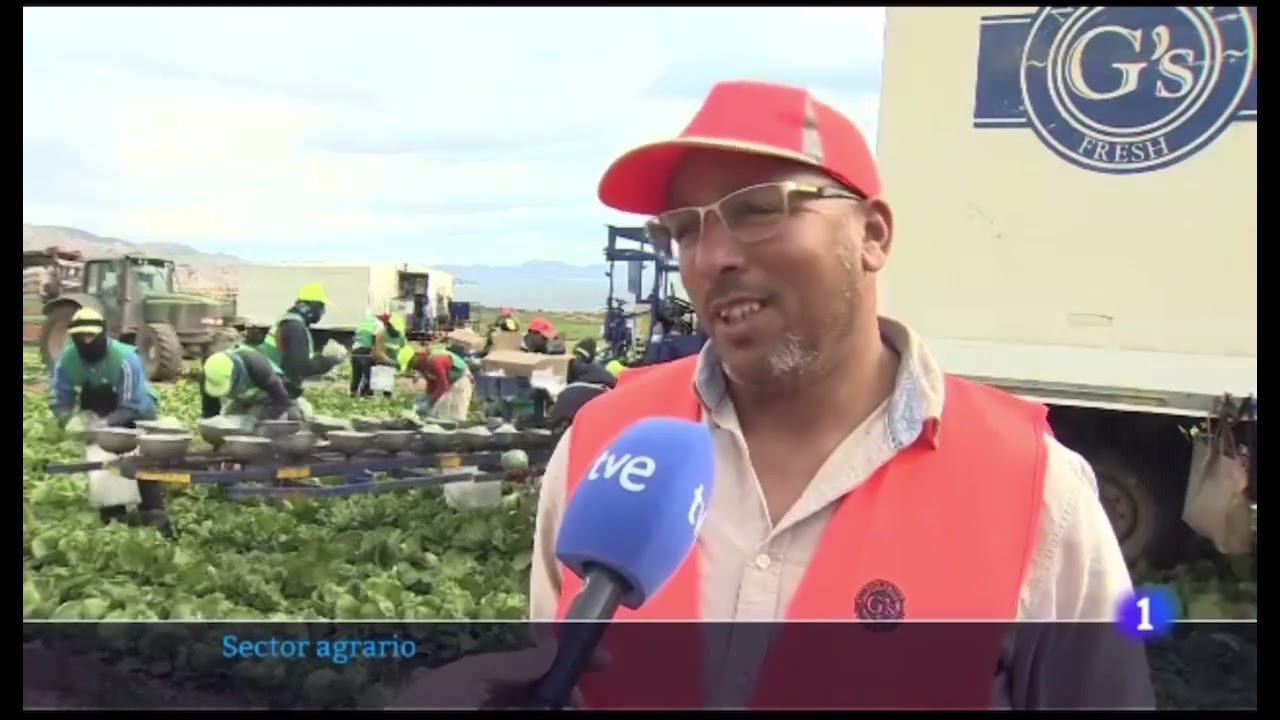 Crónica RTVE: 