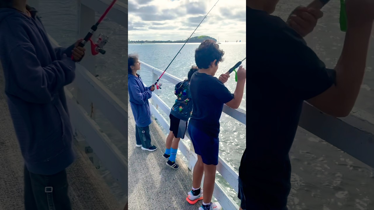 🦀 FISHING OFF THE WHARF with kids: a fun and educational experience 🎏🦀