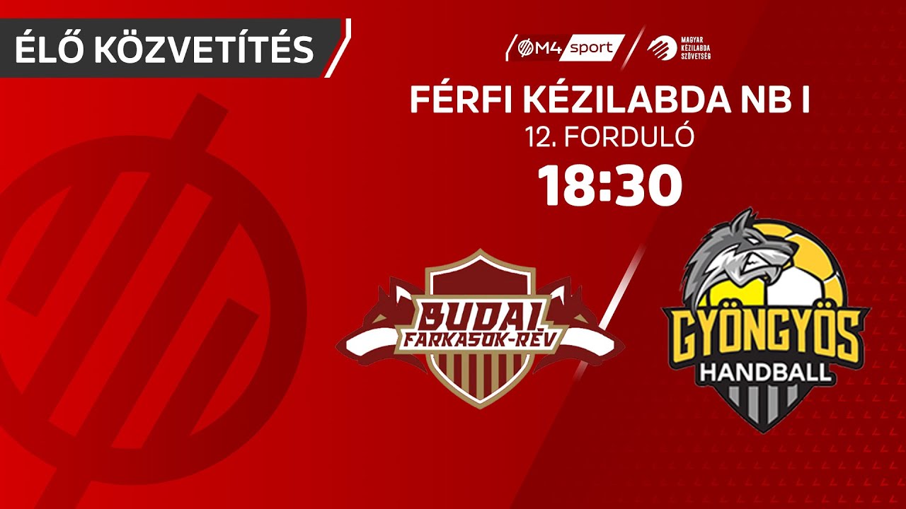 Budai Farkasok-Rév – HE-DO B Braun Gyöngyös | férfi K&H Liga | 12. forduló