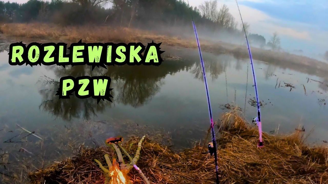 Rozlewiska PZW