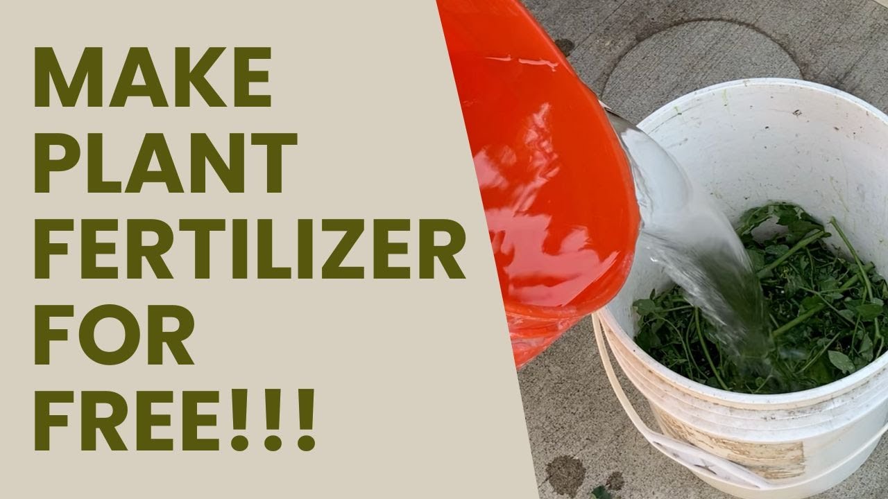 JADAM Liquid Fertilizer: The Only Fertilizer You Will Ever Need!