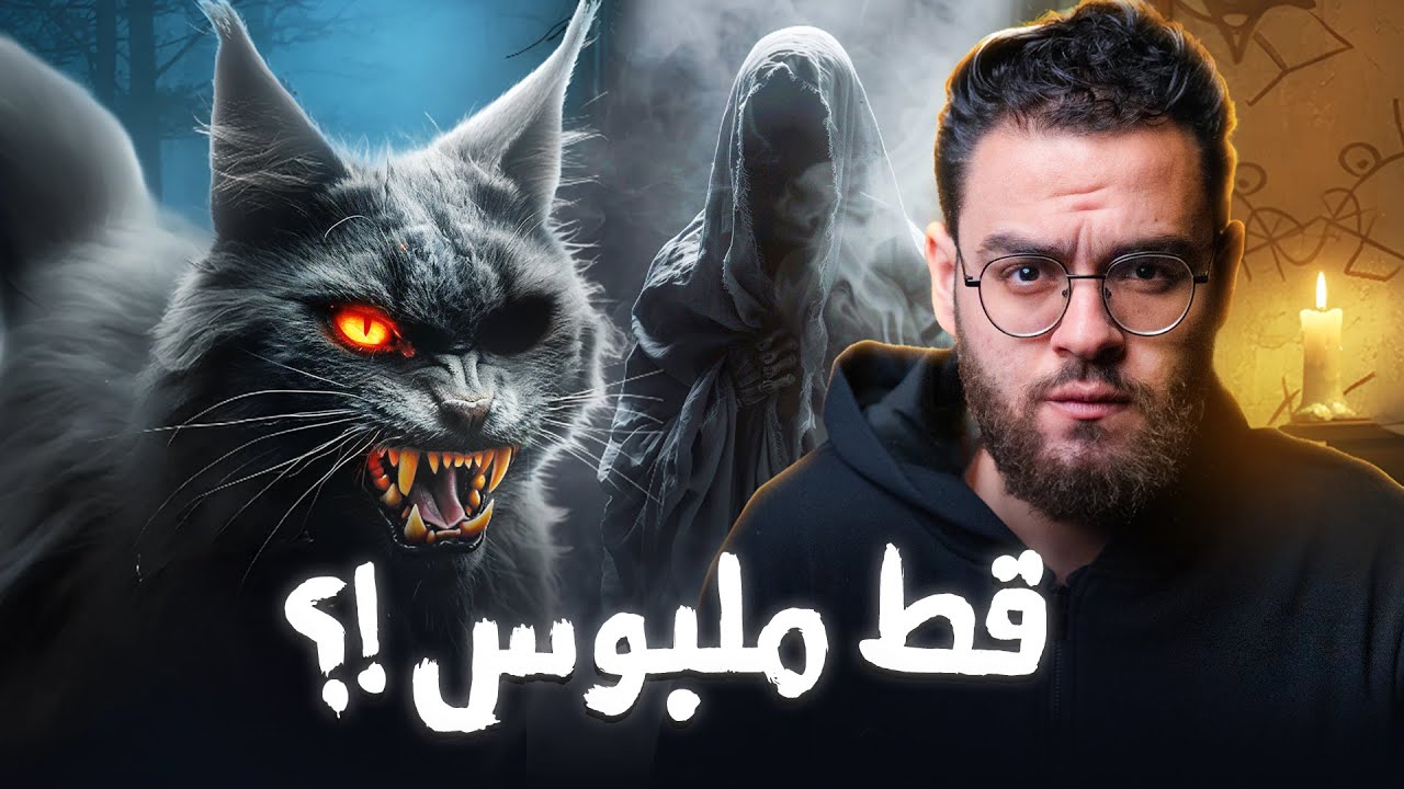 وليد و القط ألاسود في السويس | حبيب