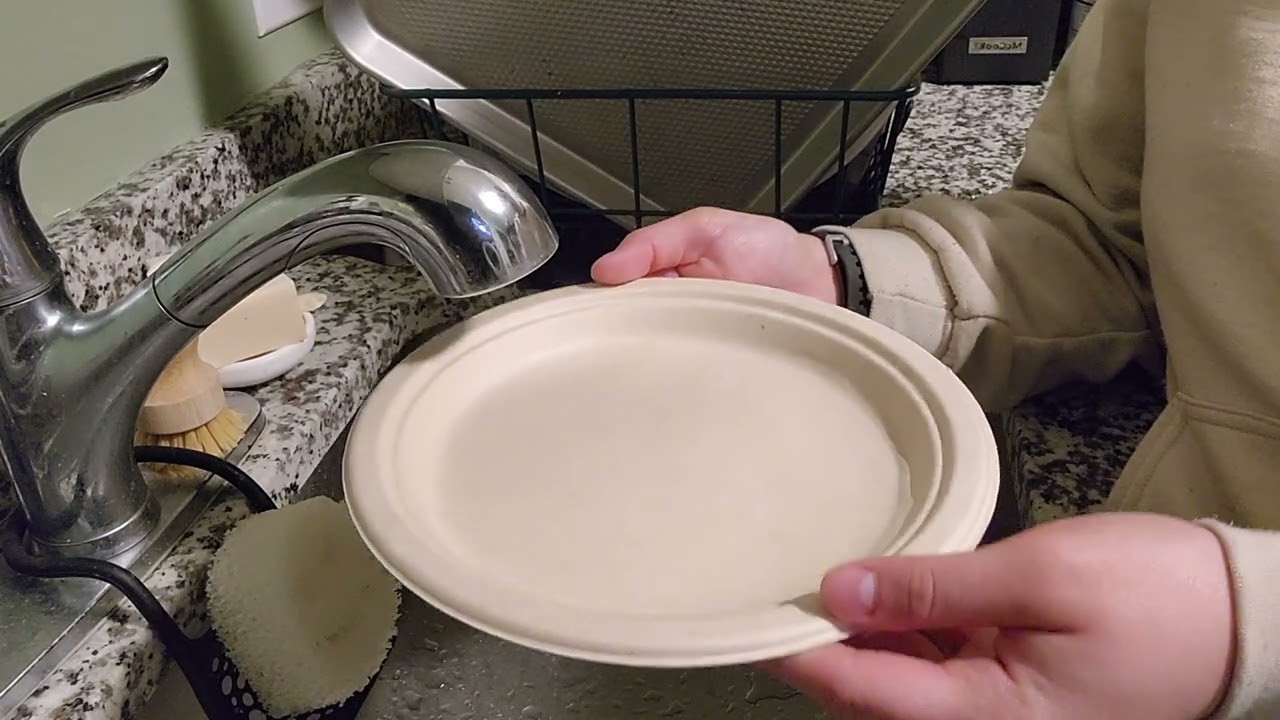 paper plates compostable review