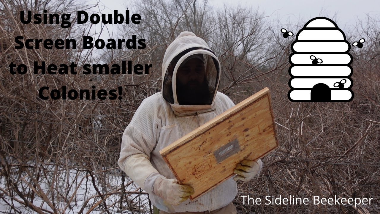 Beekeeping: Using Double Screen Boards for Heat