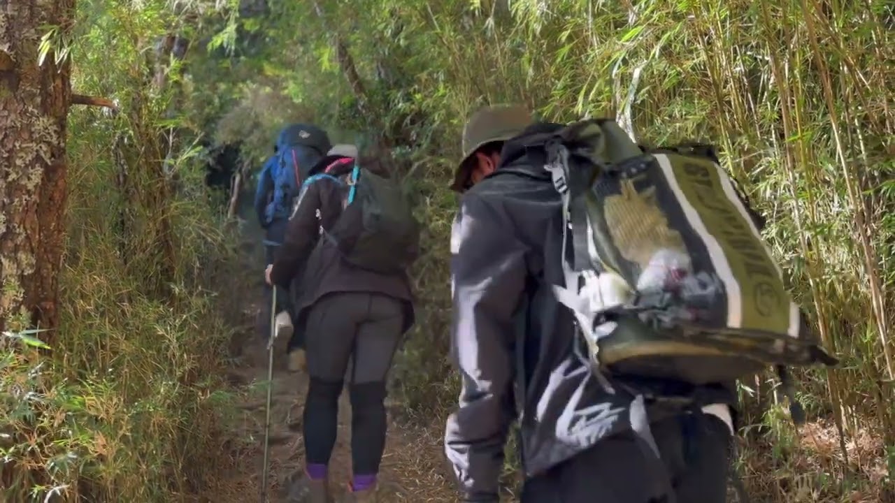 郡大山hiking | 搖搖晃晃接駁車｜坐車比爬山還累