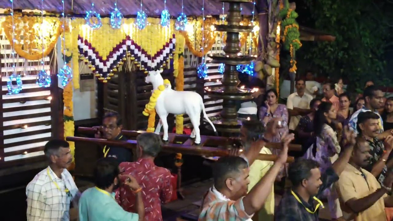 2026Thrissur അഞ്ചേരി ഉച്ചാൽ അനുബന്ധിച്ച് നടന്ന കാളകളി പൊളിച്ചു മക്കളെ
