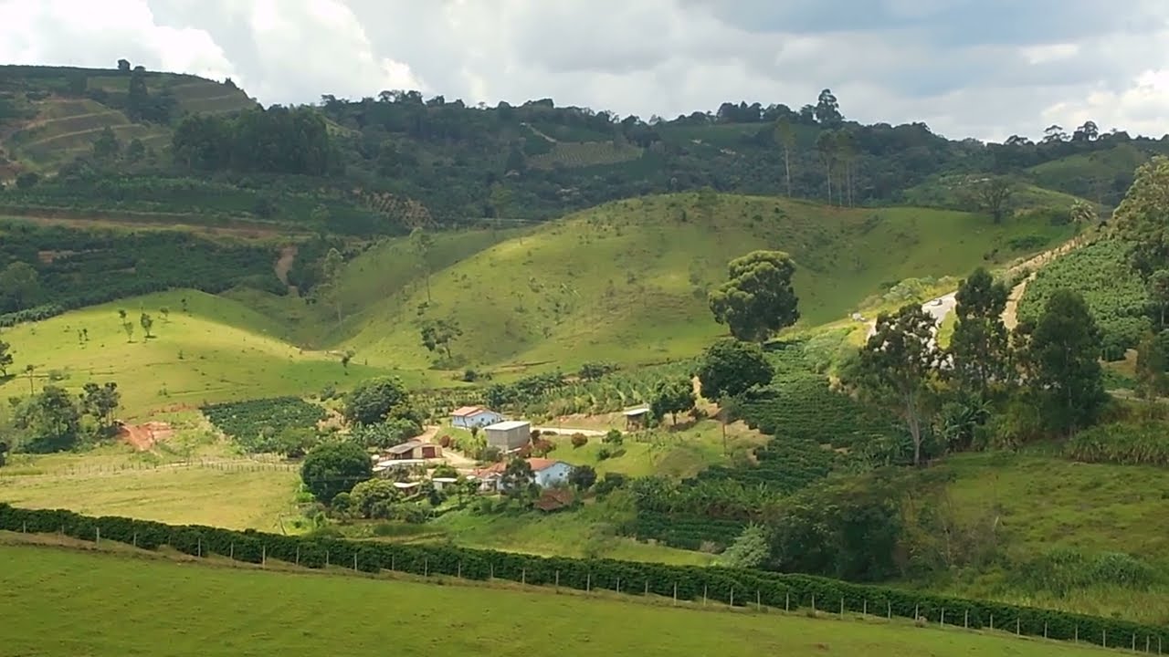 lindos cafezais e montanhas do sul de minas são pedro da união