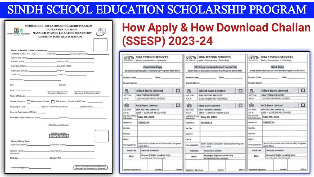 How to Apply for Sindh School Education Scholarship Program 2023 :: Online Apply SEF Scholarship