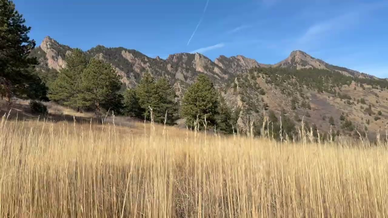 In the fields of Elderado Springs Lofi Relaxation and focus Music