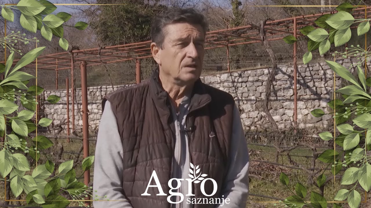 AGROSAZNANJE - Povrće i sir iz mješine iz Kruševica