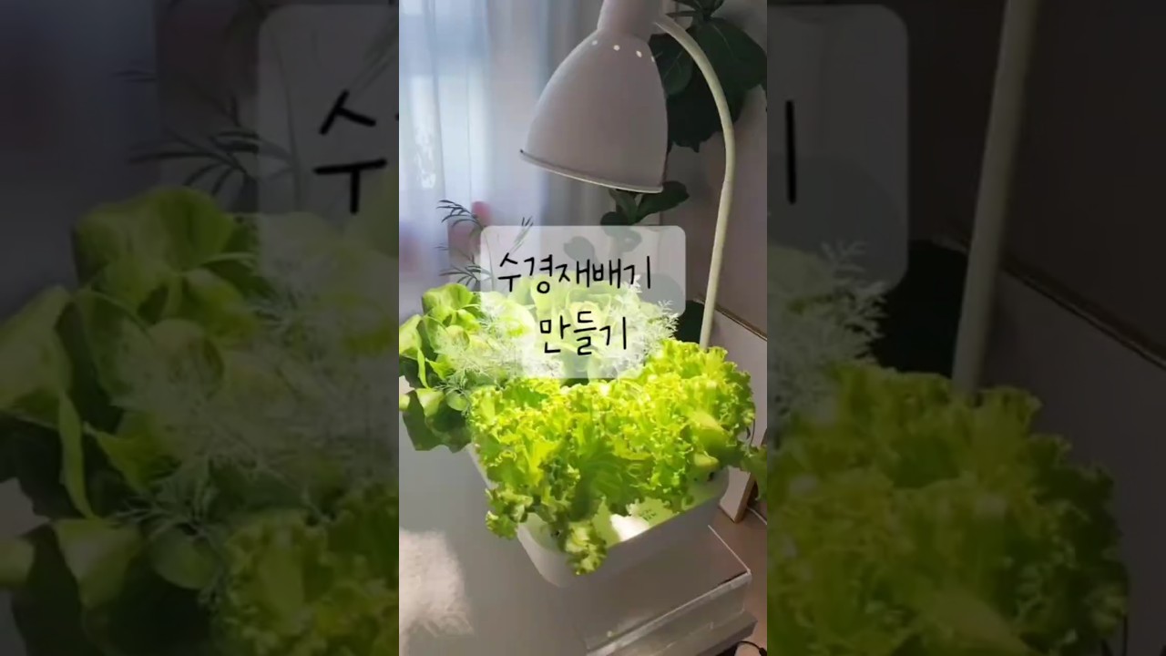 🥬수경재배기 만들기