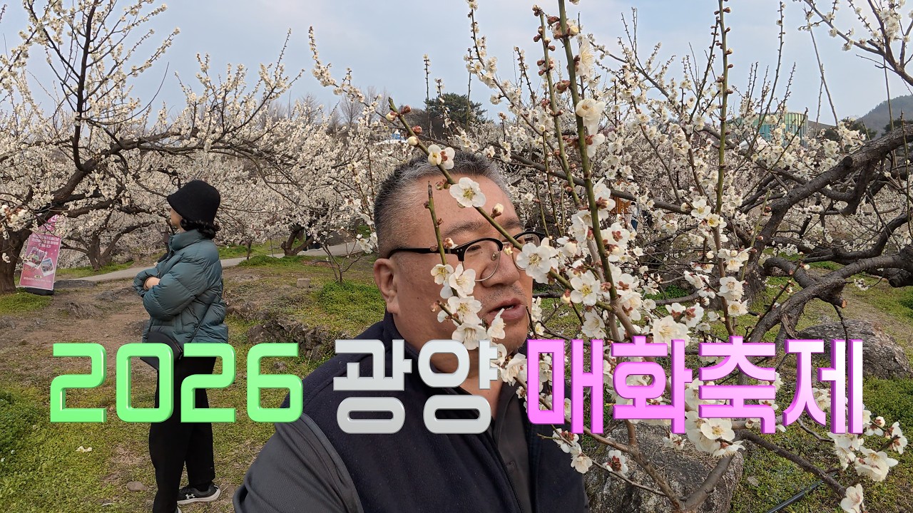 2026광양매화축제 다녀오다