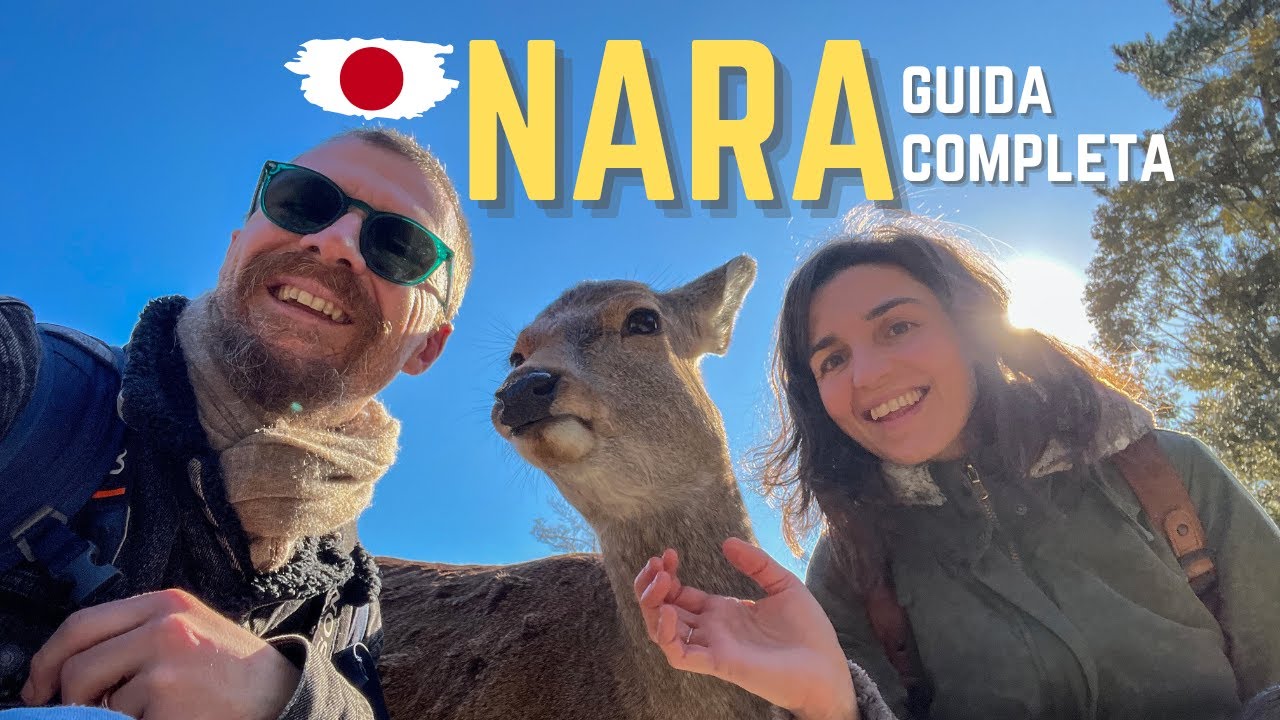 Nara in 24 ore - Nara guida completa - Top 10 Nara
