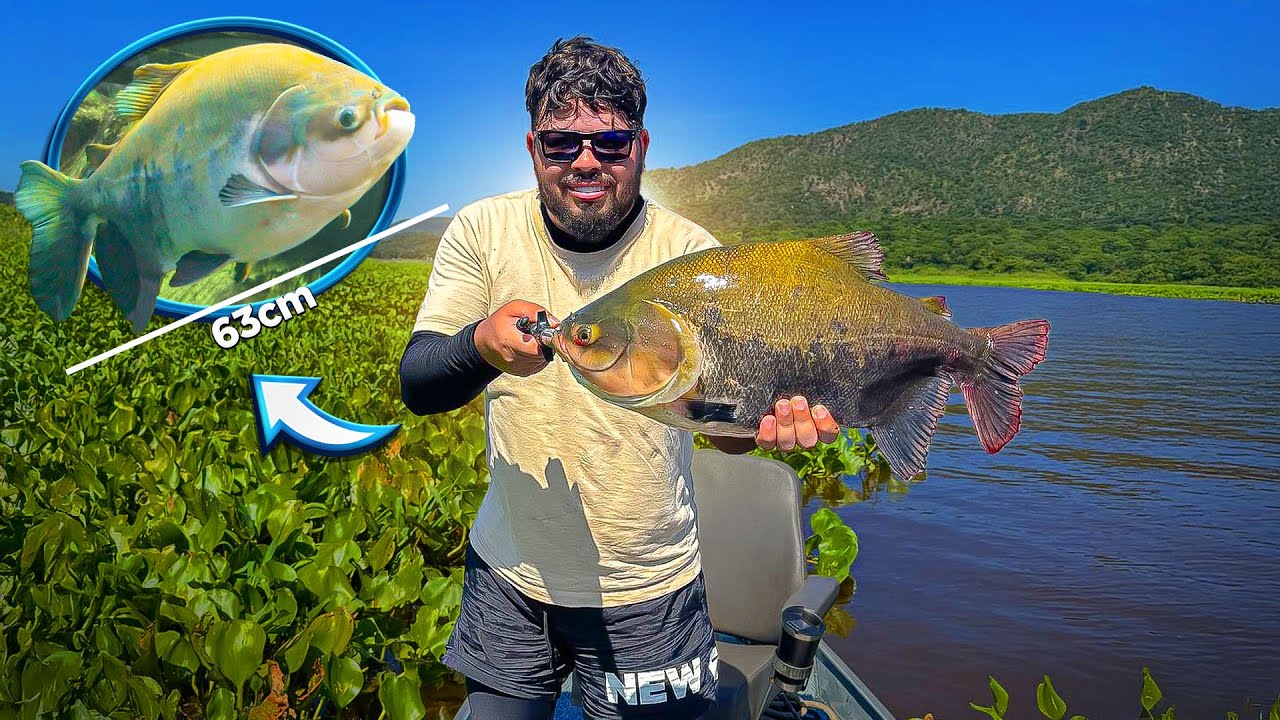 PEGUEI UM TAMBAQUI GIGANTE NO PANTANAL