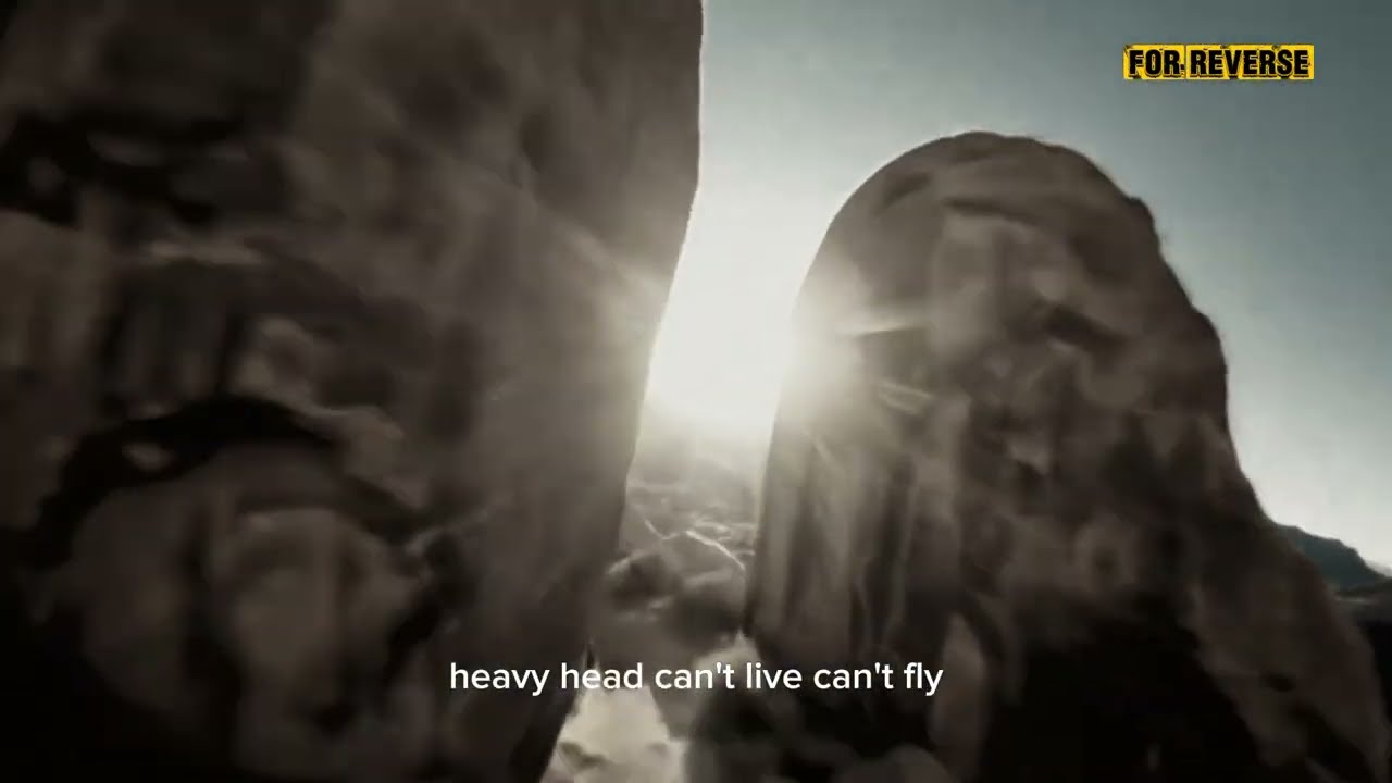 For Reverse - Heavy Head (Official Music Video)