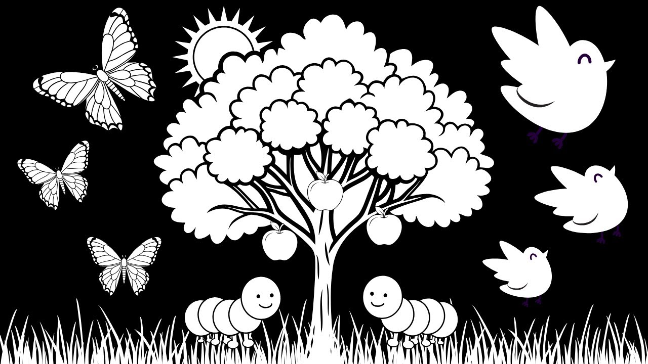 Baby Sensory Video - Black And White Baby Stimulation - Sensory Videos For Babies #newborn #baby 